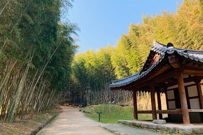 Damyang Bamboo Forest Tour (Private) - Key Points