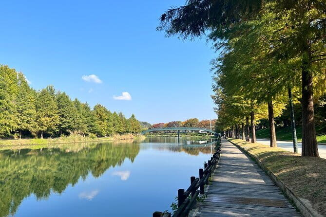 Damyang Bamboo Forest Tour (Private) - A Deep Dive into the Damyang Bamboo Forest Tour