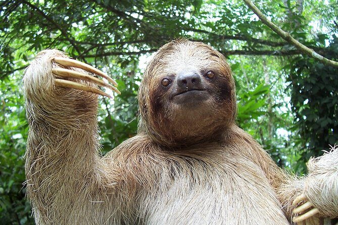 Danaus Park butterfly garden self-guided Day Pass 7.15am-5pm - Who Is This Tour Best For?