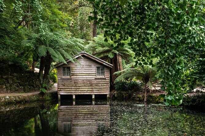 Dandenong Ranges Private Day Tour - The Itinerary in Detail