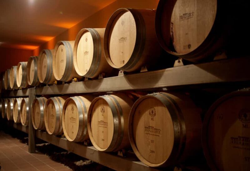 "Dans le Nez du Vin" tour  Aromas & Faults in Saint Emilion - FAQ