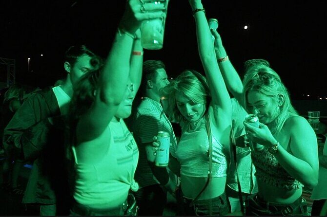 Danube Beat Boat Party Cruise Ticket - Who Is This Tour Best For?