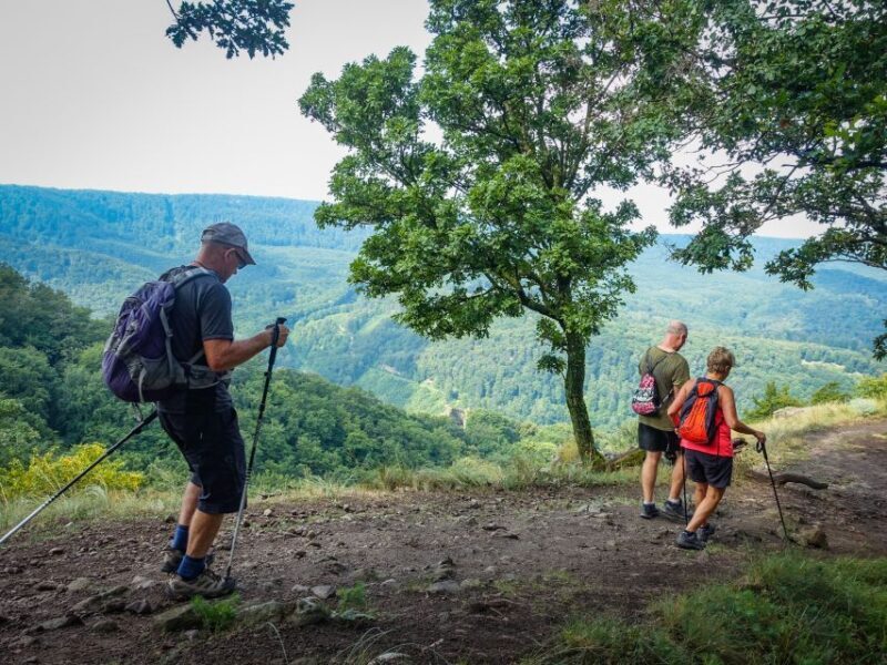Danube Bend: Full-Day Hiking Tour from Budapest - Key Points