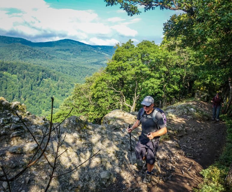 Danube Bend: Full-Day Hiking Tour from Budapest - A Deep Dive into the Danube Bend Hike