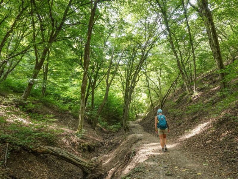 Danube Bend Hiking and Kayaking Adventure - Key Points