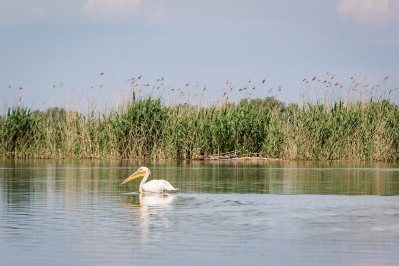 Danube Delta - 2-Day Tour from Bucharest - FAQs