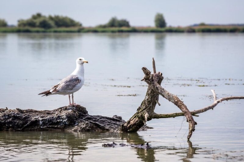 Danube Delta - 2-Day Tour from Bucharest - Final Thoughts