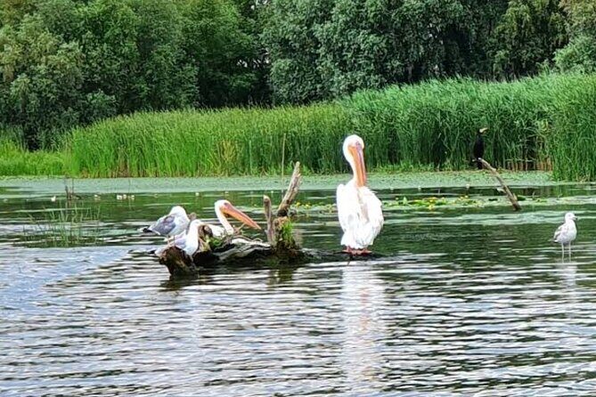 Danube Delta - Private Tour with Boat Trip & Traditional Lunch - FAQ