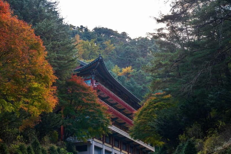 Danyang Tour:Guinsa Temple & Bobaljae & Ondal Park and Cave - Practical Details and Value