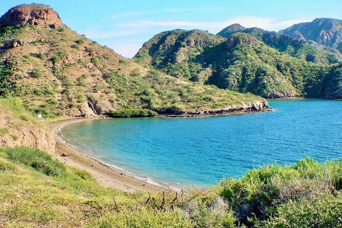 Danzante Island and Snorkel Tour from Villas del Palmar Hotel - A Complete Look at the Danzante Island and Snorkel Tour