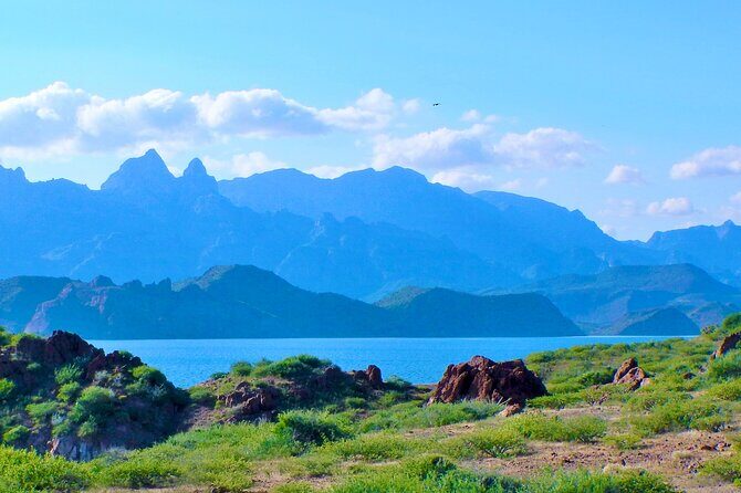 Danzante Island and Snorkel Tour from Villas del Palmar Hotel - FAQ