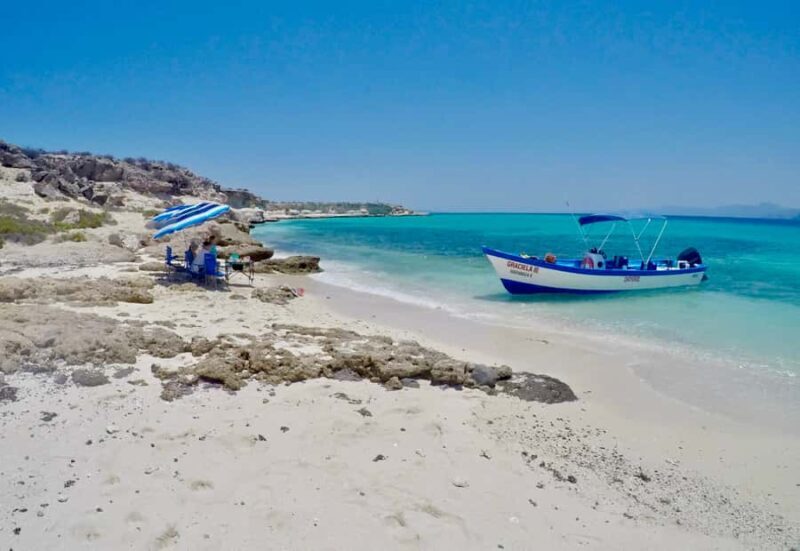 Danzante Island & Snorkel Tour from Villa del Palmar Hotel - The Sum Up: Is It Worth It?