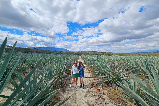 Danzantes Premium Mezcal, Hierve el Agua, Textiles & Lunch - Exploring Oaxaca’s Natural and Cultural Gems in One Day