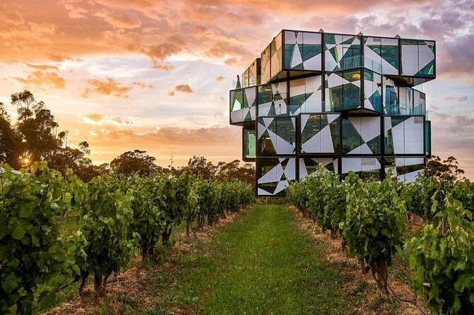 d'Arenberg Cube / McLaren Vale Regional Tour - A Deep Dive into the McLaren Vale Experience