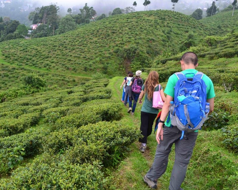 Darjeeling Cultural & Nature Walking Guided Tour - The Sum Up