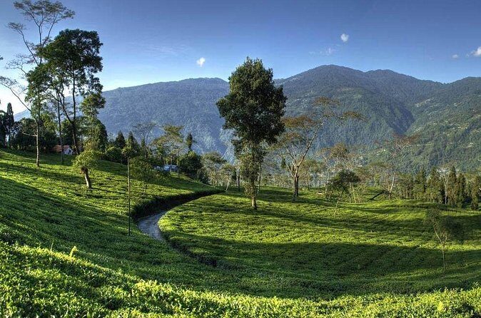 Darjeeling Hills Escape for 3 Nights and 4 Days Private Tour - FAQ