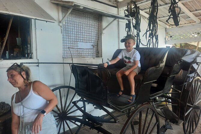 Dark View Falls & Botanical Gardens with Trubb Taxi Tours - FAQ