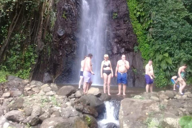 Dark View Falls Private Tour - What We Love About This Tour