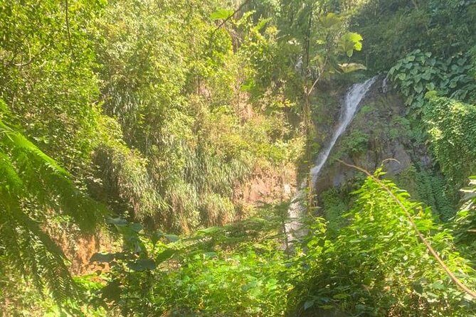 Dark View Falls Private Tour - Who Should Consider This Tour?