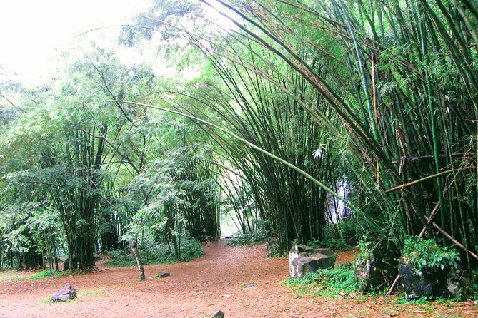 Dark View Falls Tour and Beach - FAQ