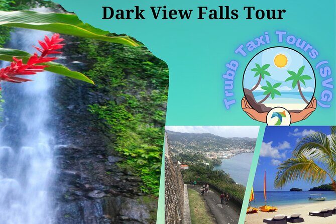 Dark View Falls Tour with Trubb Taxi Tours SVG - In-Depth Review of the Dark View Falls Tour