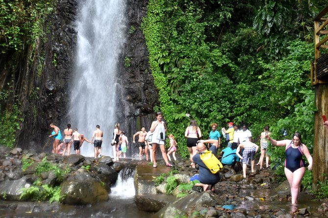 Dark View falls , Wallilabou , Fort Charlotte, Kingstown from IV Tours - Explore the Best of Kingstown, St Vincent: Dark View Falls, Wallilabou, and Fort Charlotte from IV Tours