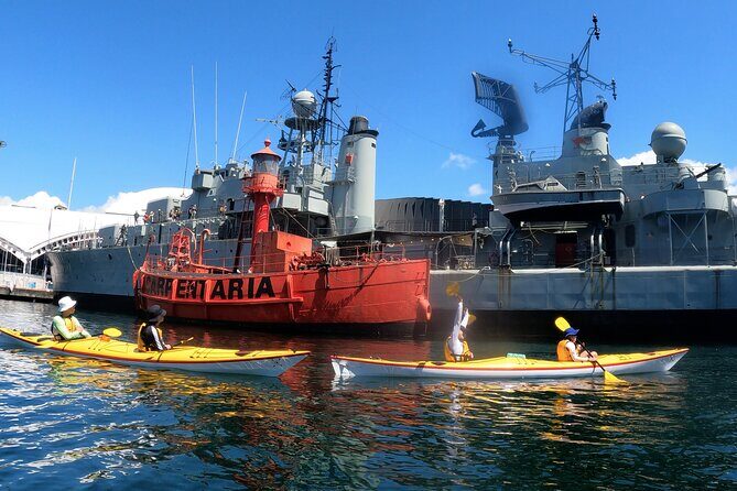 Darling Harbour Explorer - Sea Kayaking Tour - Who Will This Tour Suit Best?
