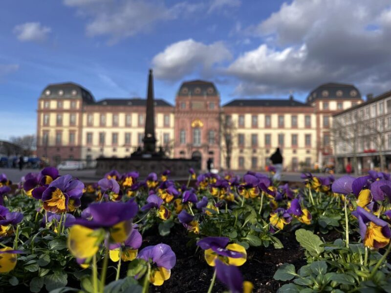 Darmstadt: City Highlights and History Guided Walking Tour - The Experience and Practical Details