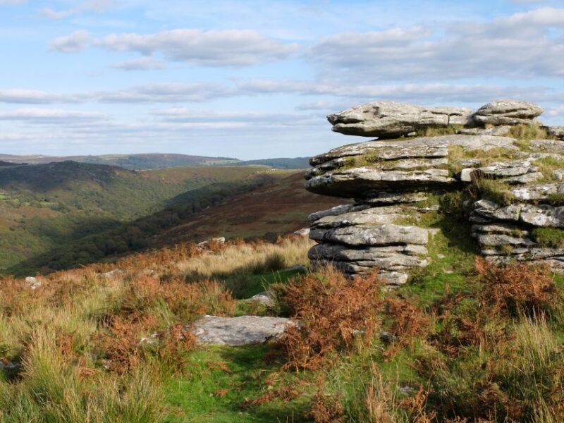 Dartmoor: Hound of the Baskervilles Experience - A Closer Look at the Dartmoor: Hound of the Baskervilles Experience