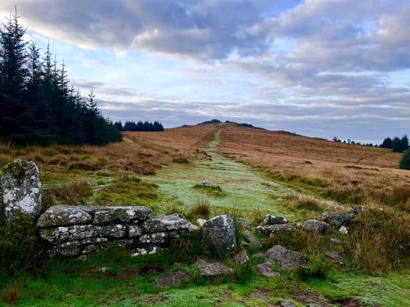 Dartmoor National Park: Half Day Guided Hiking Tour - Frequently Asked Questions