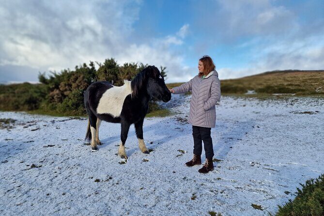 Dartmoor Tour - Exploring Dartmoor in Style: A Land Rover Discovery Private Tour