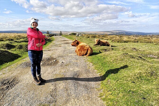 Dartmoor Tour - What Travelers Say