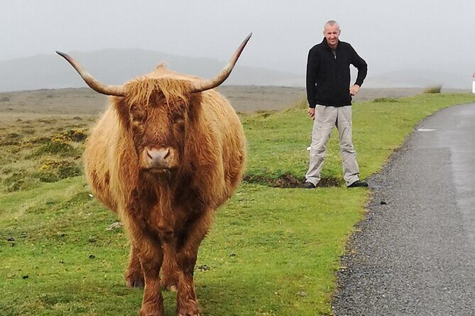 Dartmoor Tour - Frequently Asked Questions