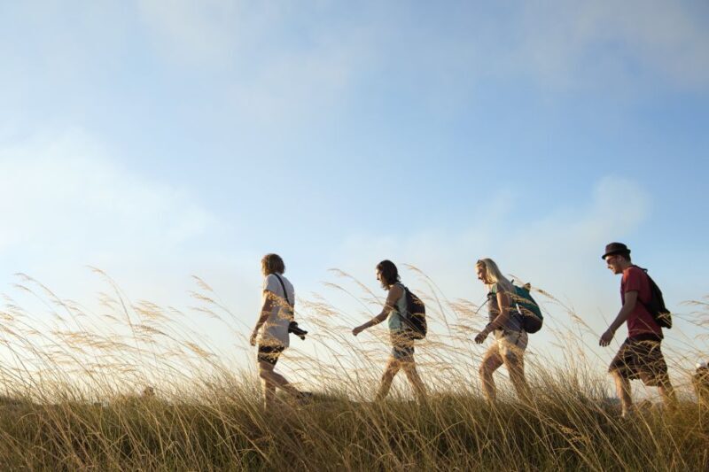 Darwin: 4-Day Kakadu Katherine Gorge Cultural Experience - Day 4: Waterfalls, Art, and Return to Darwin