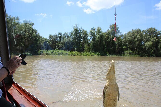 Darwin: Adelaide River Queen Original Jumping Crocodile Cruise - An Authentic Look at Crocodile Encounters in Darwin