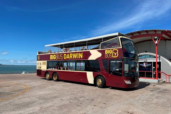 Darwin City Explorer Tour - Who Should Consider This Tour?