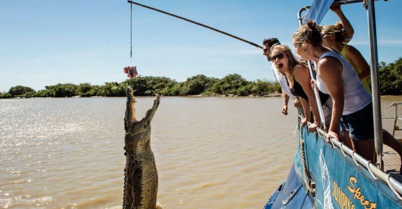 Darwin: City Sights and Jumping Crocodile Cruise - Exploring Darwin: A City of Contrasts