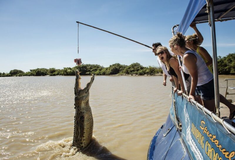 Darwin: City Sights and Jumping Crocodile Cruise - Wetlands and Birdlife at Fogg Dam and Marrakai Plains