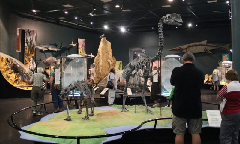 Darwin: City Sights and Jumping Crocodile Cruise - FAQ