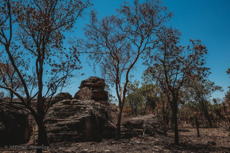 Darwin: Kakadu National Park Day Tour with Lunch - Exploring the Kakadu Experience in Detail