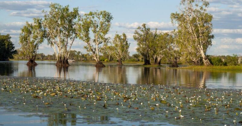 Darwin: Kakadu National Park Day Trip - A Full Breakdown of the Experience