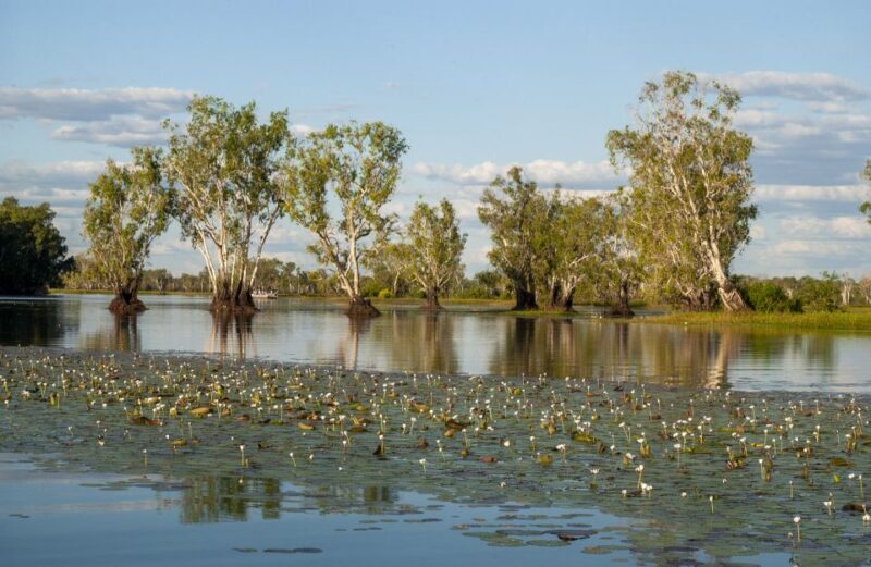 Darwin: Kakadu National Park Day Trip - Authentic Feedback From Travelers