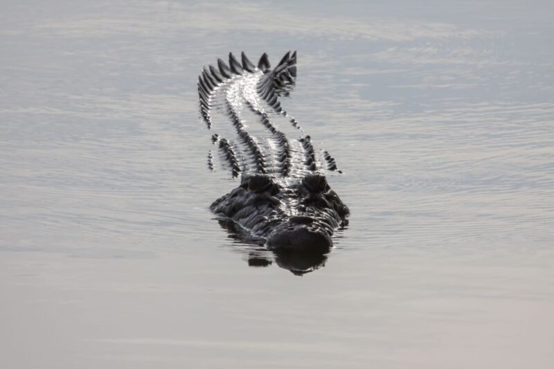 Darwin: Kakadu National Park Day Trip - Who Will Love This Tour?