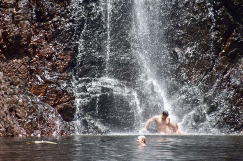 Darwin: Litchfield, Crocodile Cruise and Sunset Tour - Detailed Breakdown of the Itinerary