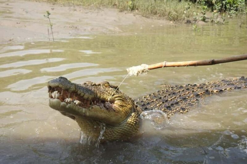 Darwin: Litchfield, Crocodile Cruise and Sunset Tour - Authentic Reviews and Insights