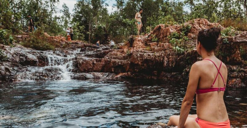 Darwin: Litchfield Day Tour and Private Crocodile Cruise - A Deep Dive Into the Experience