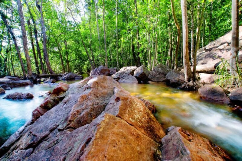 Darwin: Litchfield Park Sub-Tropical Escape - A Private tour - Practical Considerations