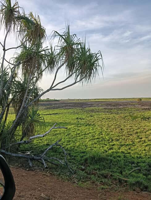 Darwin: Litchfield Park Sub-Tropical Escape - A Private tour - Who Is This Tour Best For?