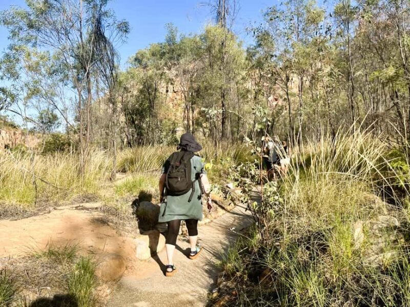 Darwin: Nitmiluk National Park Tour & Katherine Gorge Cruise - In-Depth Look at the Experience