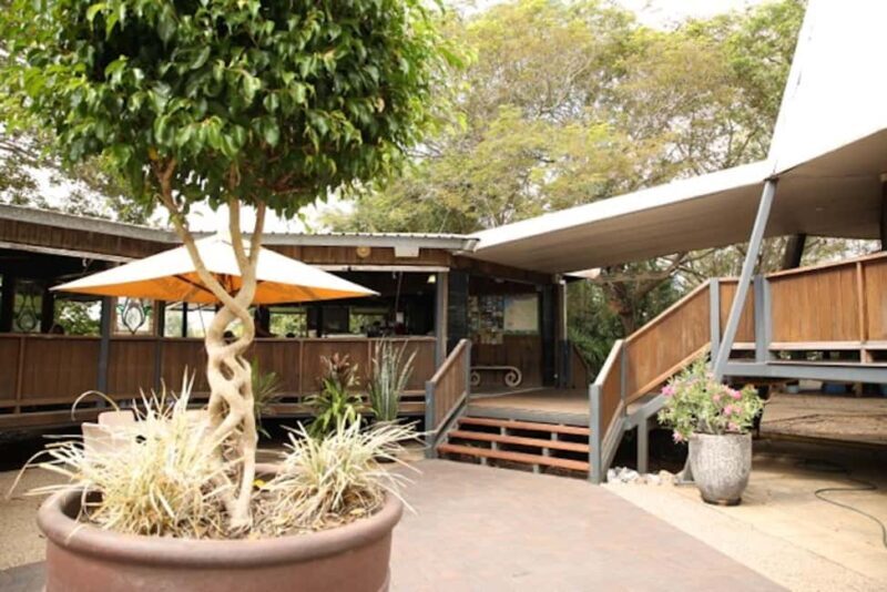 Darwin: Pathfinder Original Jumping Crocodile Cruise - A Detailed Look at the Pathfinder Crocodile Cruise Experience